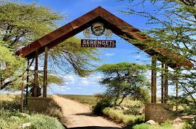 6 DAY DRIVE-IN SAFARI & ZANZIBAR EXTENSION